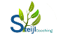 Logo-Steijl